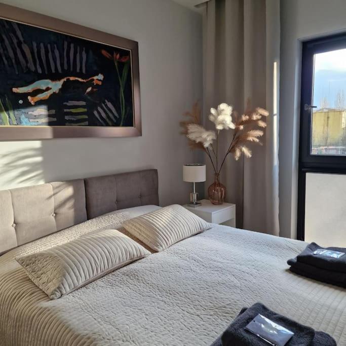Apartament Nad Struga, Klimatyzacja, Parking,Taras Торунь Екстер'єр фото